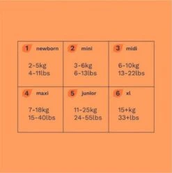 Pura Eco-Friendly Luiers Maat 5 (11-25kg), 125 Luiers -Peuterpaleis Winkel 1194x1200 2