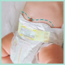 Pampers® Pampers Premium Protection Maat 1 (2-5kg) - 216 Luiers -Peuterpaleis Winkel 1198x1200 31
