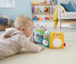 Fisher Price Fisher-Price Knuffelbaar Activiteiten Boekje Baby - Baby Speelgoed -Peuterpaleis Winkel 1200x1021