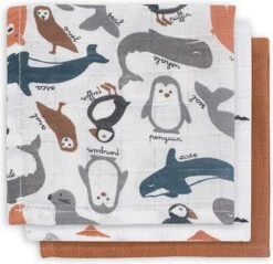 Jollein Baby Hydrofiel Washandje Polar - 3 Stuks -Peuterpaleis Winkel 1200x1161 3