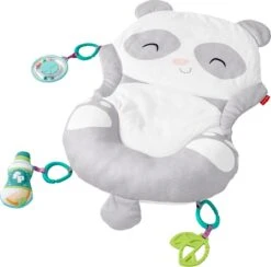 Fisher Price Allesinéén Pandaspeelmat -Peuterpaleis Winkel 1200x1184 2