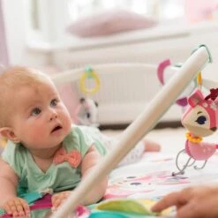 Tiny Love Deluxe Babygym - Princess Tales - Roze -Peuterpaleis Winkel 1200x1200 1164