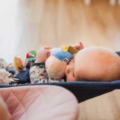 Playgro Clip Clop Rammelaar - Blauw - Activiteitenspeeltje - Kraamkado -Peuterpaleis Winkel 1200x1200 1214