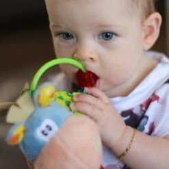 Playgro Clip Clop Rammelaar - Blauw - Activiteitenspeeltje - Kraamkado -Peuterpaleis Winkel 1200x1200 1216