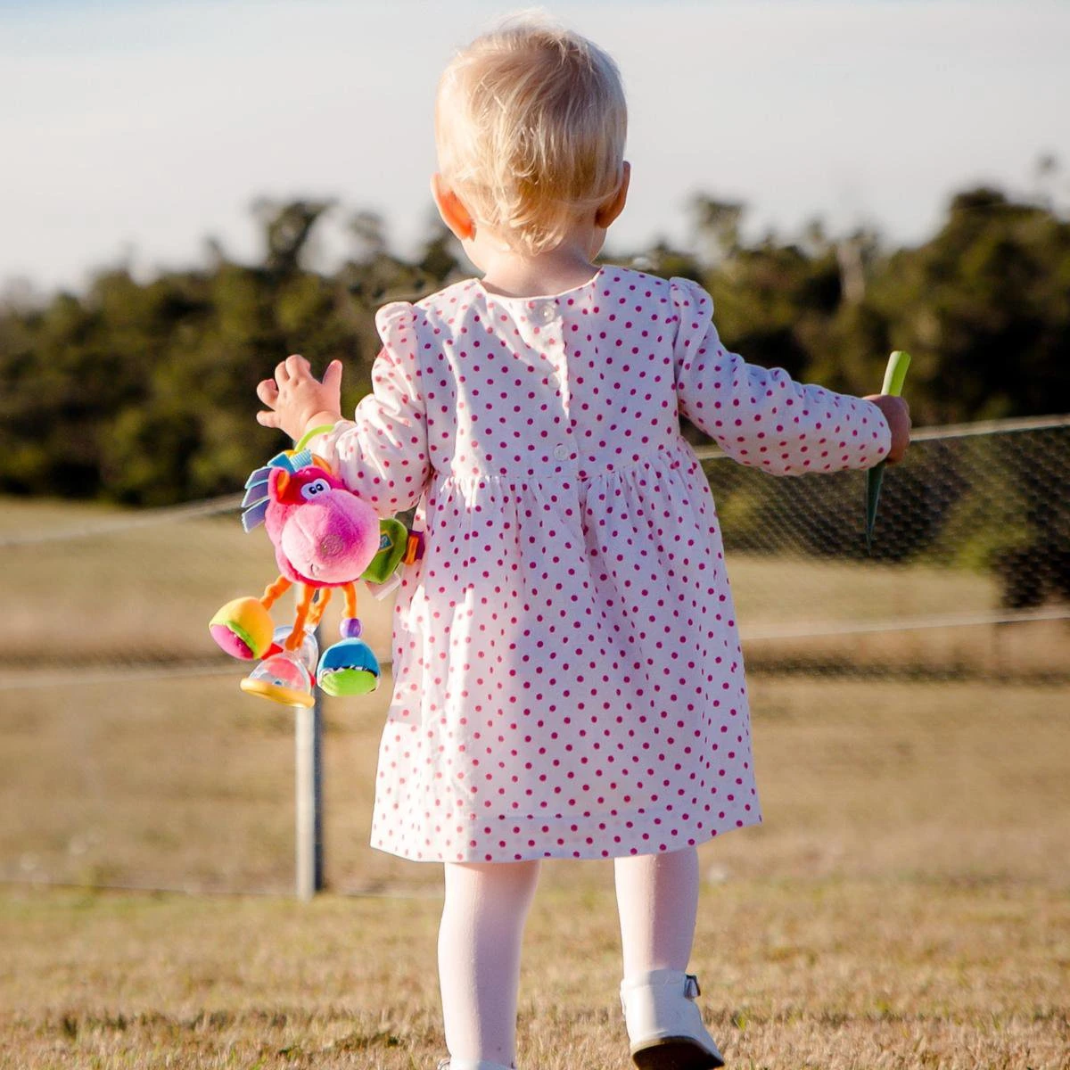 Playgro Clip Clop Rammelaar - Roze - Activiteitenspeeltje - Kraamkado 10 Playgro Clip Clop Rammelaar - Roze - Activiteitenspeeltje - Kraamkado - Afbeelding 8