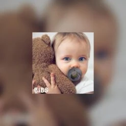 Bibs Fopspenen 6-18 Maanden Set 4 Stuks (Vanilla, Baby Blue, Woodchuck, Sage) Maat 2 Fopspeen -Peuterpaleis Winkel 1200x1200 1424