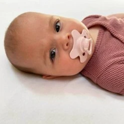 Fopspeen Difrax 12-18 Maanden Natural Pure | Blossom Roze -Peuterpaleis Winkel 1200x1200 1452