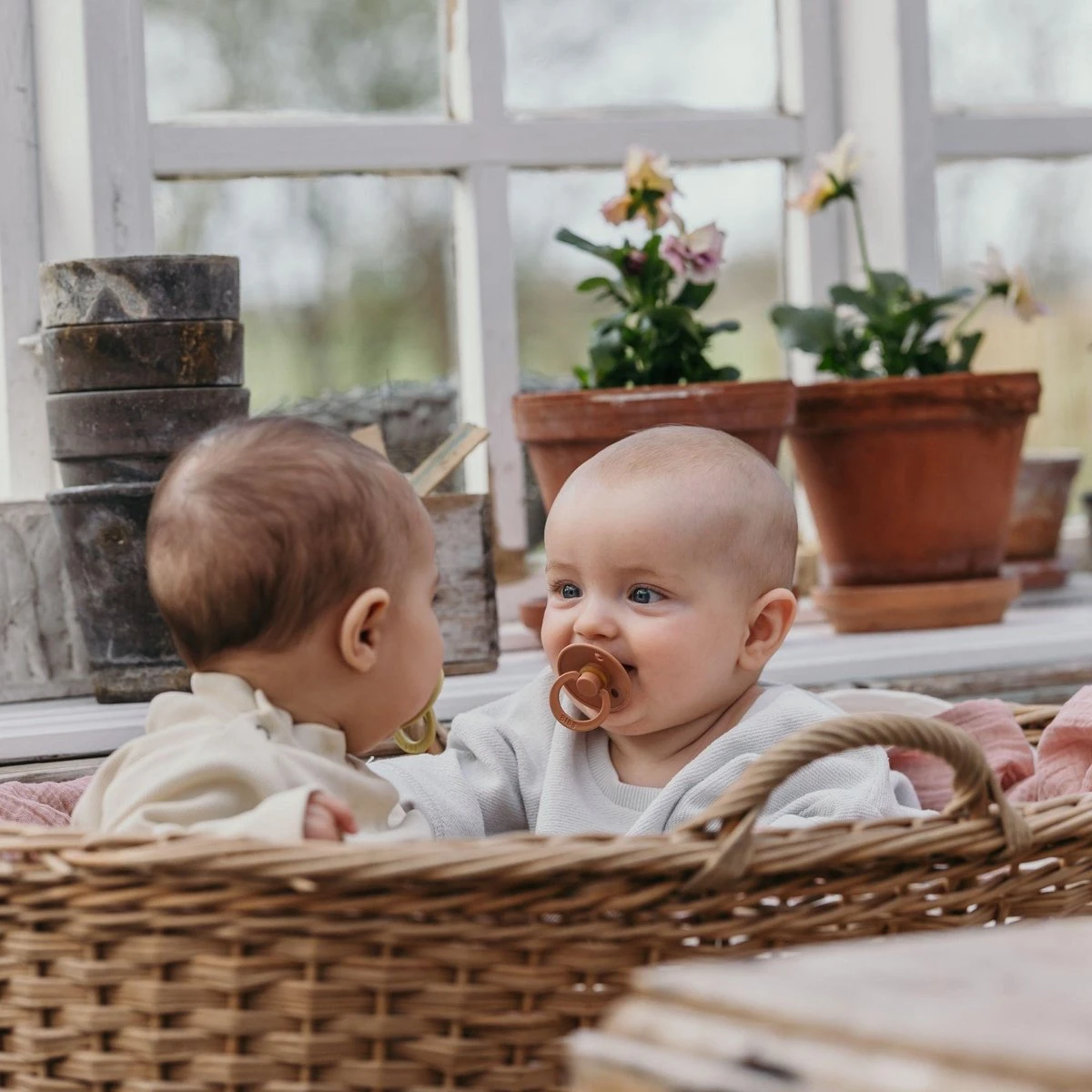 Bibs Fopspeen - Maat 1 0-6 Maanden - 3 Stuks - Vanilla - Earth - Ivory 4 Bibs Fopspeen - Maat 1 0-6 Maanden - 3 Stuks - Vanilla - Earth - Ivory - Afbeelding 2