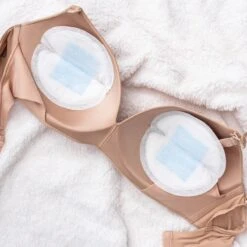 Lansinoh Wegwerpbare Borstcompressen 60stuks NIEUW -Peuterpaleis Winkel 1200x1200 2294