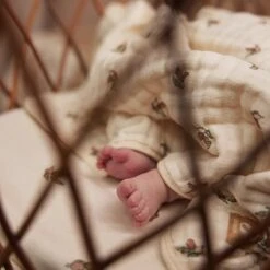 Jollein Deken Hydrofiel Wieg 75x100cm Rosehip -Peuterpaleis Winkel 1200x1200 2450