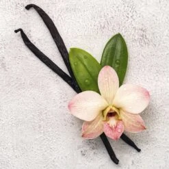 Disney Frozen Frozen Ll - Geurset - Parfum 50ml + Douche Gel 100ml - Cadeautip! 15 Disney Frozen Frozen Ll - Geurset - Parfum 50ml + Douche Gel 100ml - Cadeautip! -Peuterpaleis Winkel 1200x1200 595