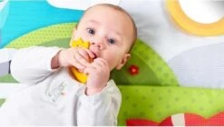 Tiny Love Supermat Speelmat - Meadow Days -Peuterpaleis Winkel 1200x678 1