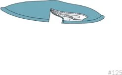 Carriwell Carriwel Zoogcompressen - Biokatoen - Wasbaar – Wit – 6 Stuks Met Wasnet 12 Carriwell Carriwel Zoogcompressen - Biokatoen - Wasbaar – Wit – 6 Stuks Met Wasnet -Peuterpaleis Winkel 1200x740