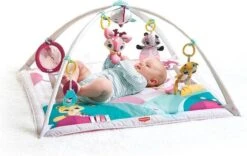 Tiny Love Deluxe Babygym - Princess Tales - Roze -Peuterpaleis Winkel 1200x759 2