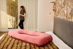 TELANO® Voedingskussen XXL Roze Velvet Wasbare Hoes Met Gouden Rits - Opbergtas - U Vorm - Extra Groot - Zijslaapkussen -Peuterpaleis Winkel 1200x798 19