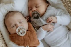 Bibs Fopspeen - Maat 1 0-6 Maanden - 1 Stuk - Boheme Vanilla -Peuterpaleis Winkel 1200x800 154