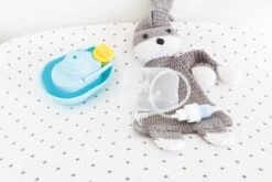 Neuszuiger Voor Baby - Nûby -Peuterpaleis Winkel 1200x800 16