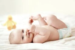 Zwitsal Goedemorgen Baby Vochtige Washandjes - 20 Stuks -Peuterpaleis Winkel 1200x800 17