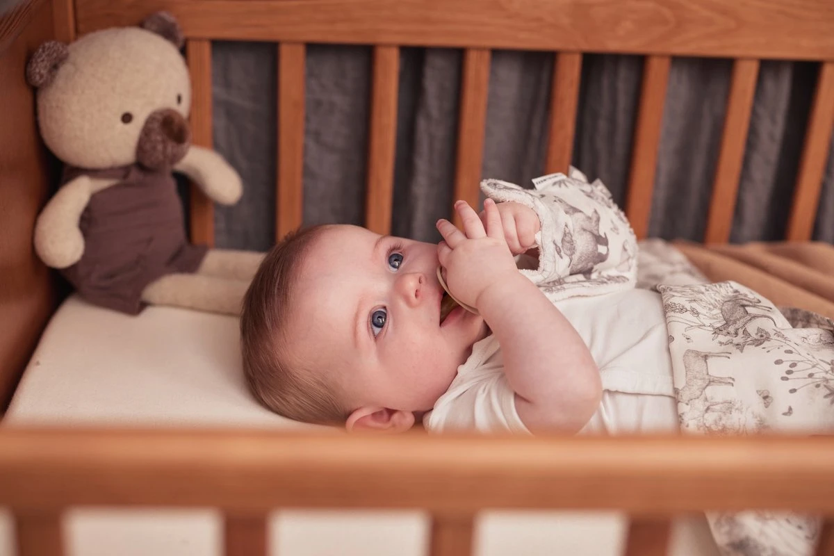 Jollein Baby Laken Ledikant 120x150cm Pimpelmees - Forest Animals 11 Jollein Baby Laken Ledikant 120x150cm Pimpelmees - Forest Animals - Afbeelding 9