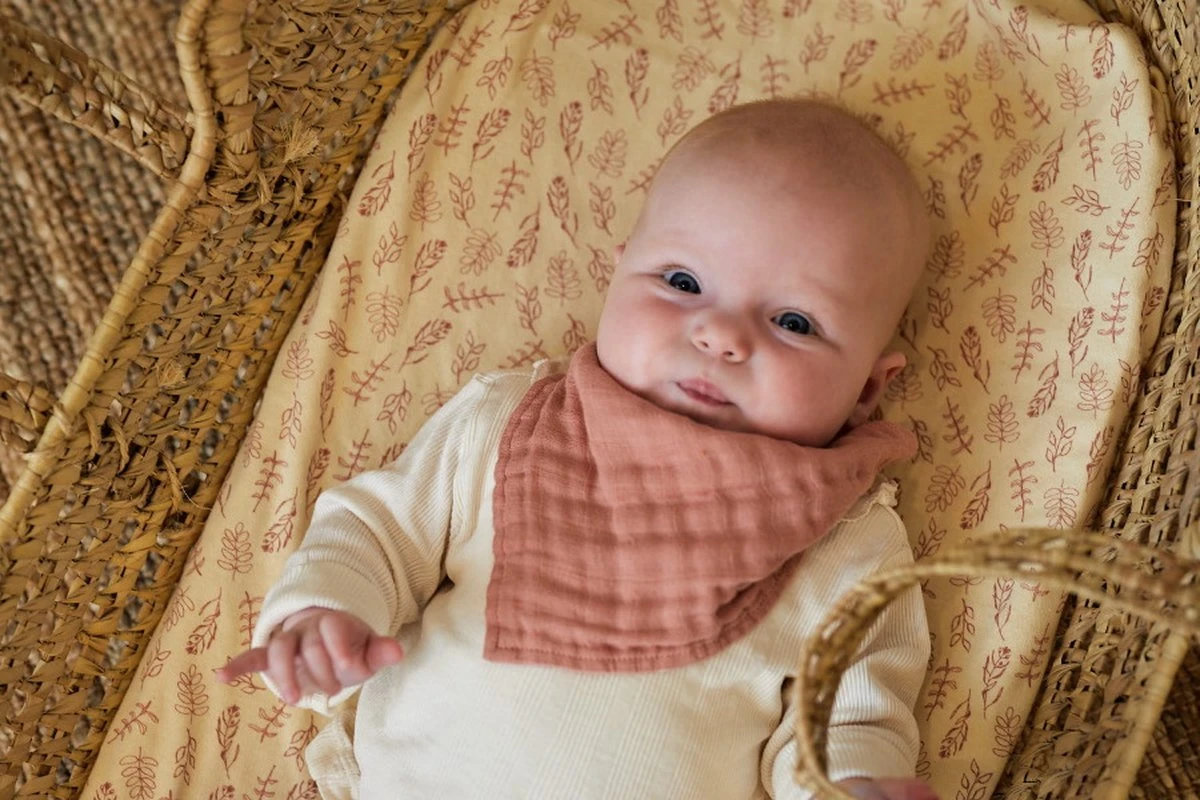 Jollein Baby Hoeslaken Ledikant Jersey 60x120cm - Meadow - Rosewood 13 Jollein Baby Hoeslaken Ledikant Jersey 60x120cm - Meadow - Rosewood - Afbeelding 11