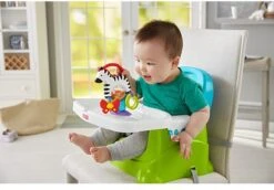 Fisher Price - Activity Zebra - Rammelaar - Speeltje En Bijtring - Grijpspeelgoed -Peuterpaleis Winkel 1200x835 2