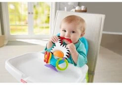 Fisher Price - Activity Zebra - Rammelaar - Speeltje En Bijtring - Grijpspeelgoed -Peuterpaleis Winkel 1200x842 2