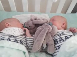 MijnNami Speenknuffel Konijntje Zonder Speen - Afneembaar Speentje - BPA Vrij -Peuterpaleis Winkel 1200x900 45