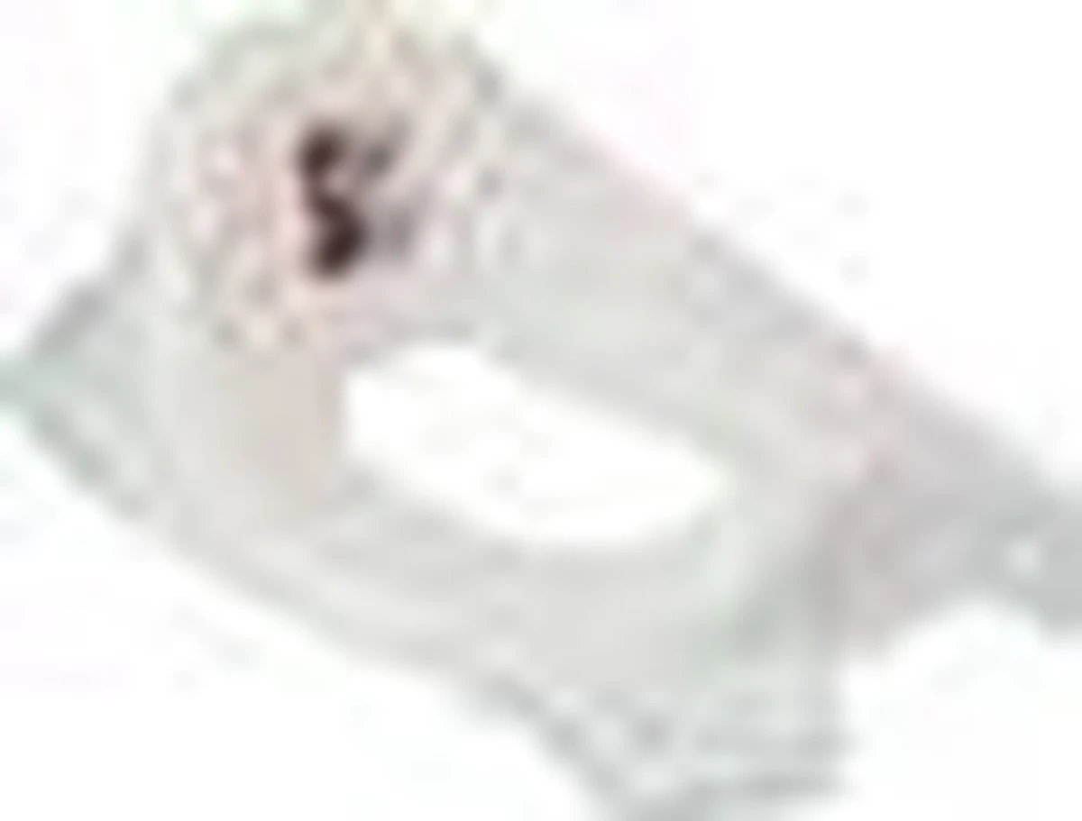 Keeeper Frozen WC Verkleiner - Wit 12 Keeeper Frozen WC Verkleiner - Wit - Afbeelding 10