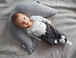 Zwangerschapskussen Voedingskussen - Velvet - Rafaello -Peuterpaleis Winkel 1200x916 4