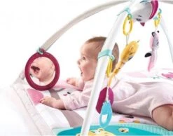 Tiny Love Deluxe Babygym - Princess Tales - Roze -Peuterpaleis Winkel 1200x942 3