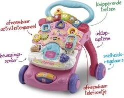 VTech 2 In 1 Baby Walker - Educatief Babyspeelgoed - Roze - 9 Tot 36 Maanden -Peuterpaleis Winkel 1200x946