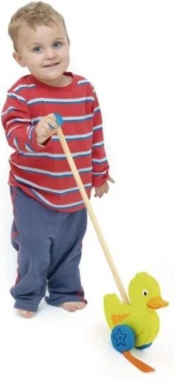 Duwstok - Eend 20 Duwstok - Eend -Peuterpaleis Winkel 551x1200