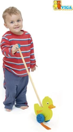 Duwstok - Eend 14 Duwstok - Eend -Peuterpaleis Winkel 667x1200 4