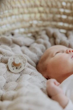 Bibs Fopspeen - Maat 1 0-6 Maanden - 1 Stuk - Boheme Vanilla -Peuterpaleis Winkel 800x1200 104