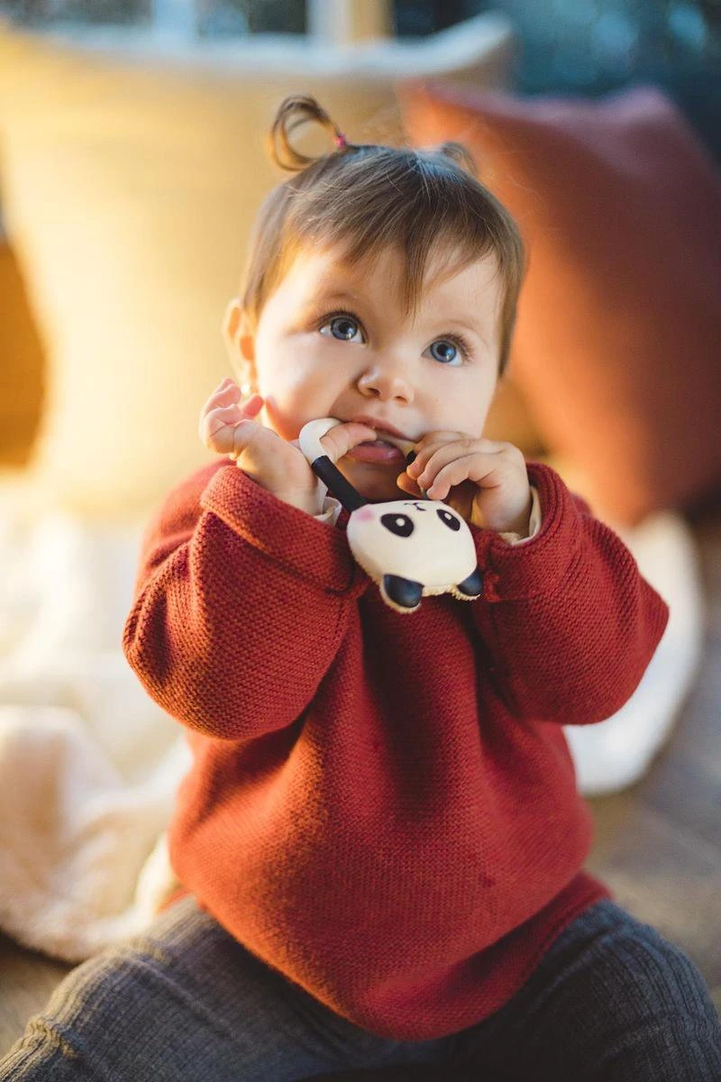 Lanco Rubberen Bijtring - Kori De Panda - Zwart - Wit 5 Lanco Rubberen Bijtring - Kori De Panda - Zwart - Wit - Afbeelding 3