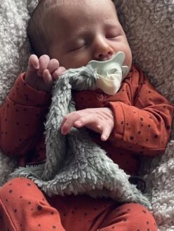 Louka Speendoekje Driehoek Teddy Groen - Teddy Katoen - Speenknuffel - Excl. Bibs Speen -Peuterpaleis Winkel 900x1200 22