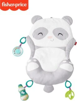 Fisher Price Allesinéén Pandaspeelmat -Peuterpaleis Winkel 906x1200 5